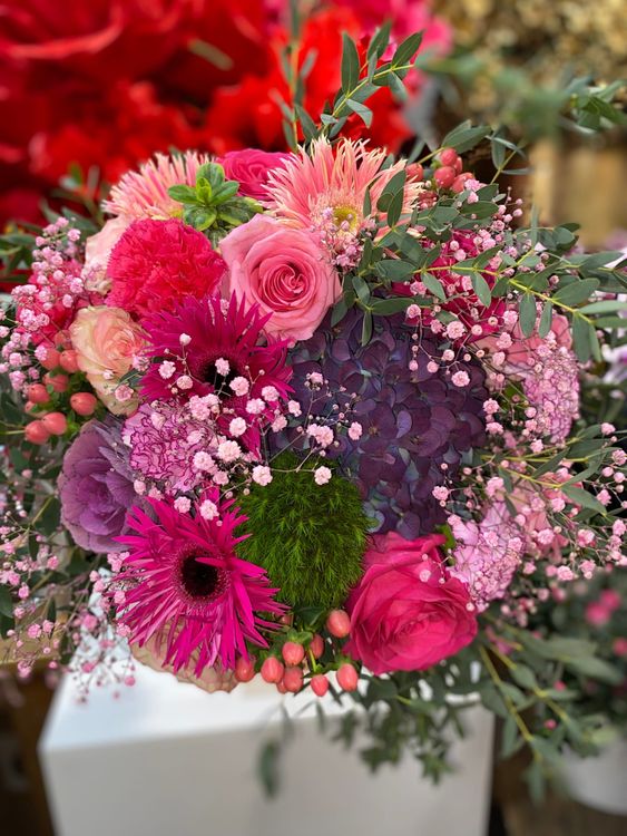 Gerbera Soleil